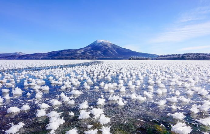 Kinh nghiệm du lịch Hokkaido – bán đảo được thiên nhiên ưu đãi nhất xứ sở hoa anh đào